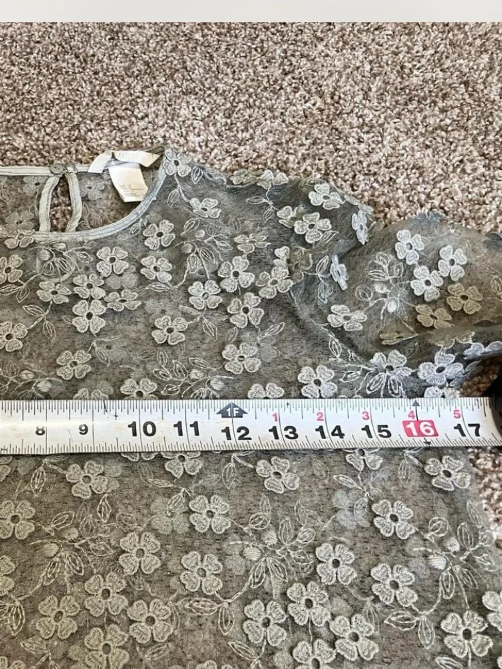 H&M Sage Green Sheer Floral Lace Long-Sleeve Blouse Size US 4